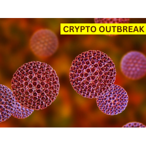 Crypto Outbreak in Wellington