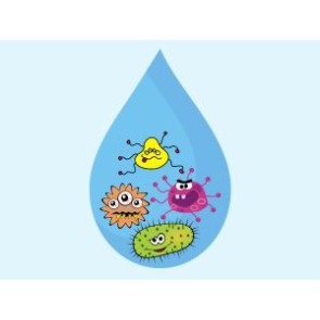 Drinking Water Supplies without Bacterial Barriers