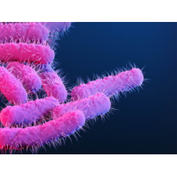 Drug Resistant Bugs