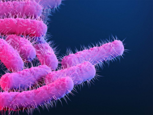 Drug Resistant Bugs