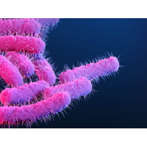 Drug Resistant Bugs