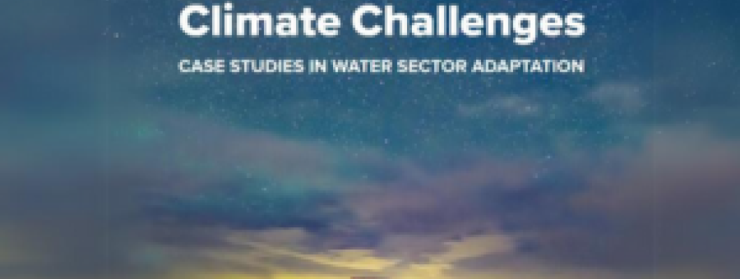 Navigating Climate Challenges: Case studies in Water Sector