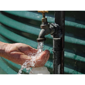 Rainwater tanks often host to harmful bugs