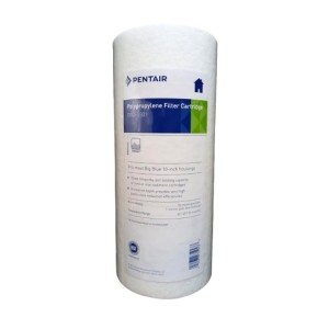 Pentair 10" Big Dual Gradient Density Cartridge 25 Micron -1 Micron (10" x 4½")
