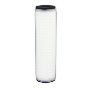 10" Polypropylene 0.2 micron Nominal Filter (10" x 2.5")