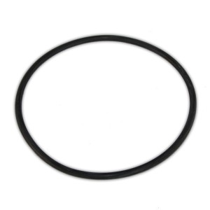 O-Ring for BIG Blue Jumbo Housing