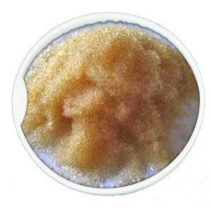 CR225-  Indion Cation Softener Resin