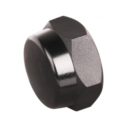 Hex Screw Cap 20mm