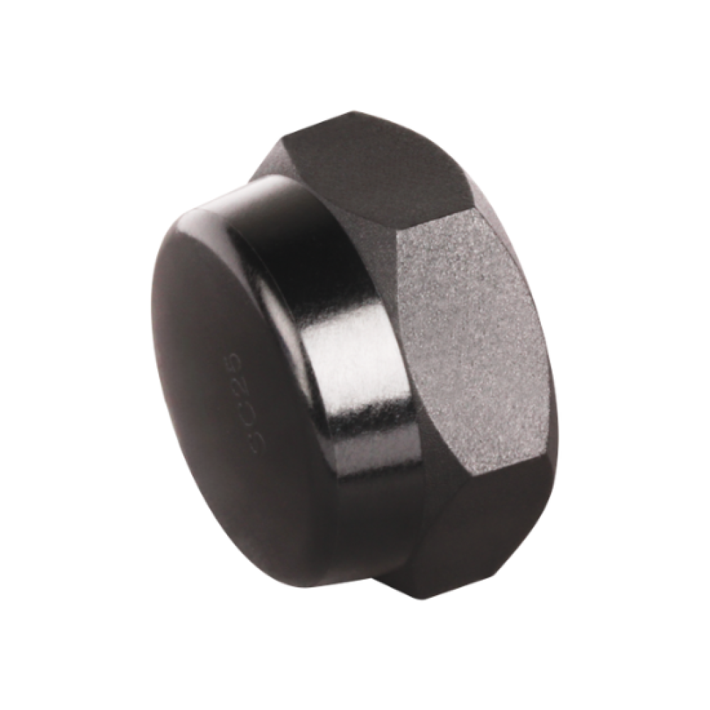Hex Screw Cap 10mm | Taylor Purification Hex Screw Cap 10mm | Taylor Purification