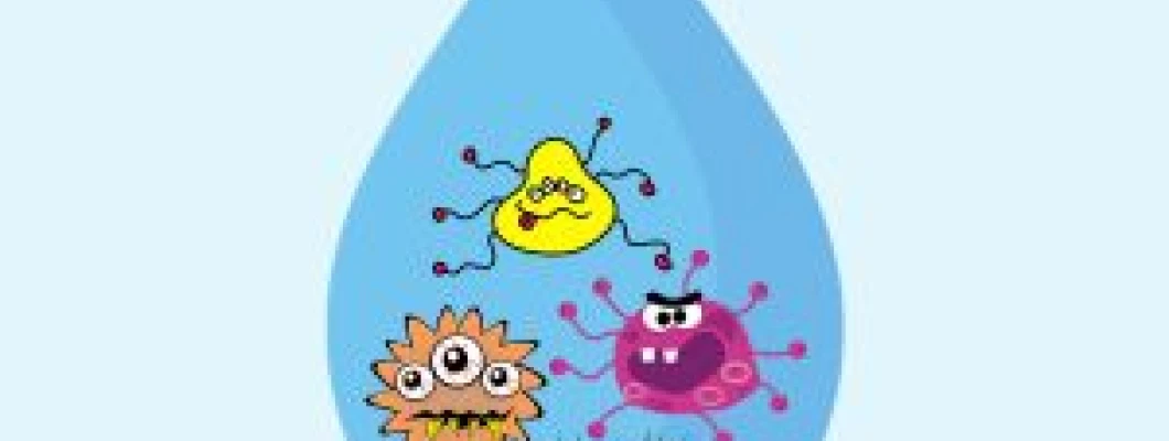 Drinking Water Supplies without Bacterial Barriers