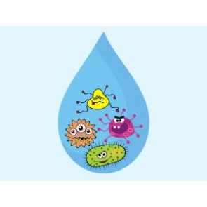 Drinking Water Supplies without Bacterial Barriers