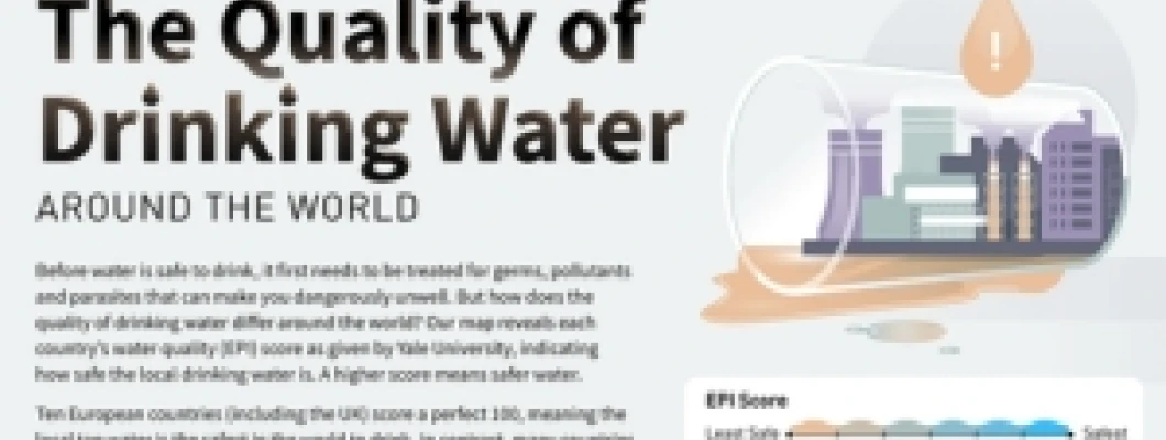International Perspectives on Water Quality