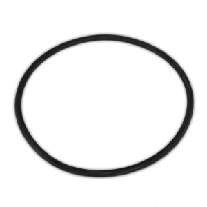 O-Ring for BIG Blue Jumbo Housing
