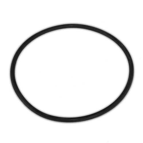 O-Ring for BIG Blue Jumbo Housing