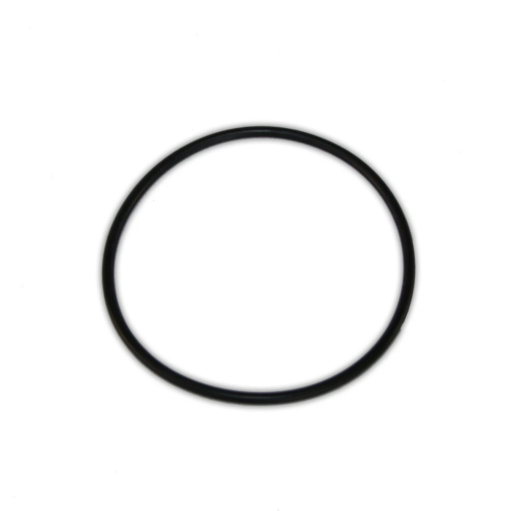 O-Ring for 10 Standard Double O- Ring Housing | Taylor Purification