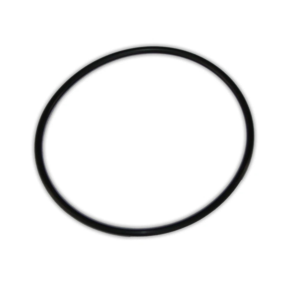 O-Ring for  Ametek Heavy Duty Housing 3/4 Ports | Taylor Purification