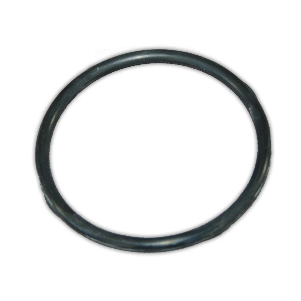 263/268 Tank O-Ring | Taylor Purification