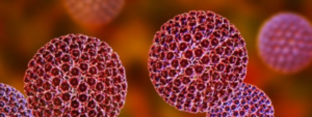 Crypto Outbreak in Wellington