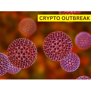 Crypto Outbreak in Wellington