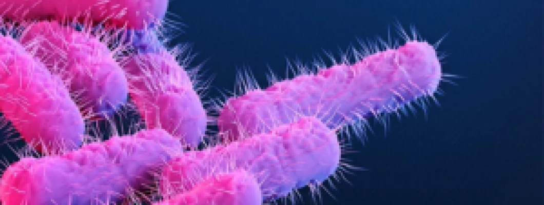 Drug Resistant Bugs