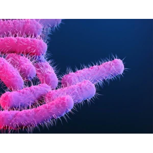 Drug Resistant Bugs