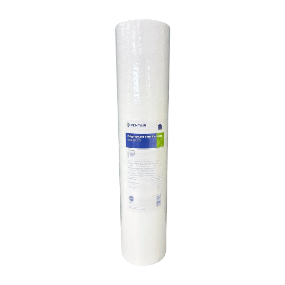 Pentair 20 Big Dual Gradient Density Cartridge 25 Micron -1 Micron  (20 x 4½) | Taylor Purification