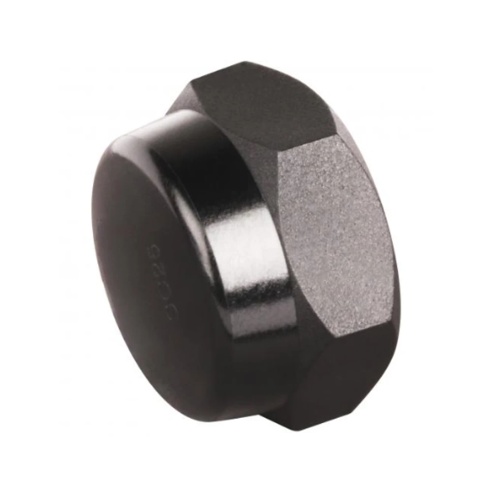 Hex Screw Cap 20mm | Taylor Purification