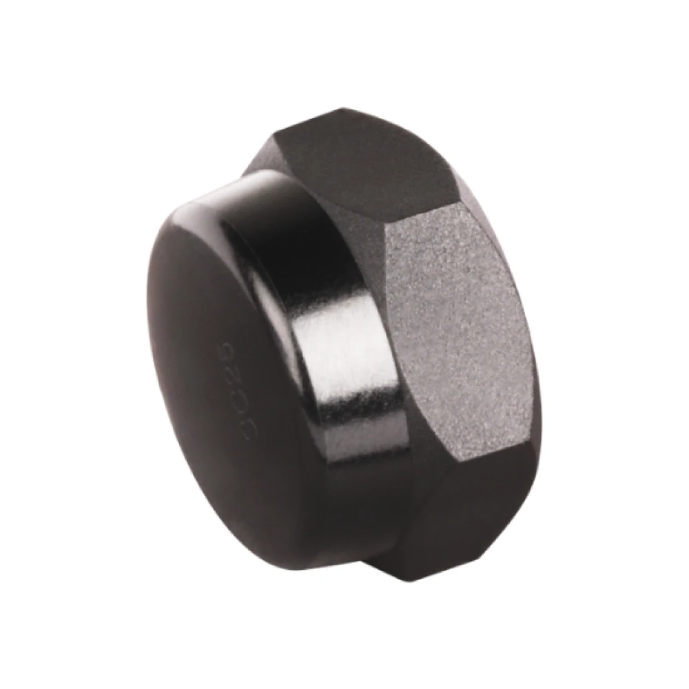 Hex Screw Cap 15mm | Taylor Purification